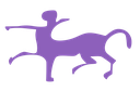 Arachnoiditis: A Chronic Inflammatory Condition of the Meninges